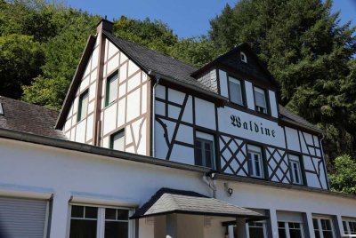 Großes Landhaus mit direktem Moselblick!!