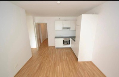 Liebenau - 52m2 - 3 Zimmer Wohnung - großer Balkon - WG fähig