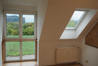 Charmante 1-Zimmer Wohnung in Freiburg-Kappel