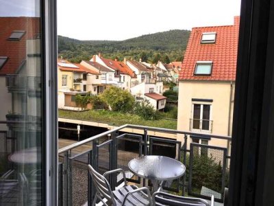 Studenten aufgepasst:  1-Zimmer-Wohnung in zentraler aber ruhiger Lage in Heidelberg Handschuhsheim