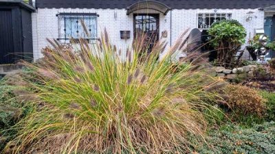 Großzügiges Familiendomizil mit 2 Süd-Balkonen und großem Garten