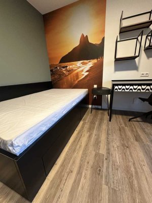 1 Zimmer Wohnung mit schönen Balkon -Untermieter gesucht !