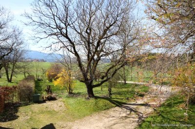 Hausanteil in ehemaligem Gutshof!
Ca. 350 m² Wohnfläche auf zwei Ebenen mit großem Garten