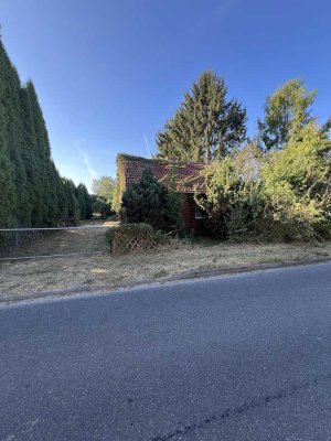Grundstück mit Altbestand in Seenähe