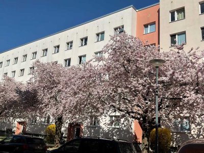 Jetzt besichtigen: charmante 3-Zimmer-Wohnung, ab März 2026 verfügbar!