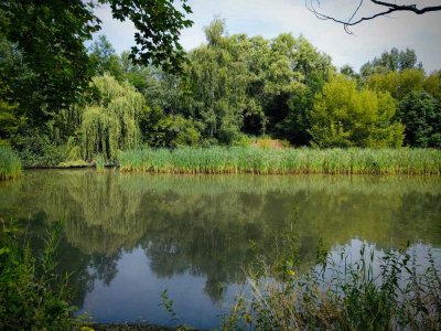 Mitten im Grünen und doch so zentrumsnah