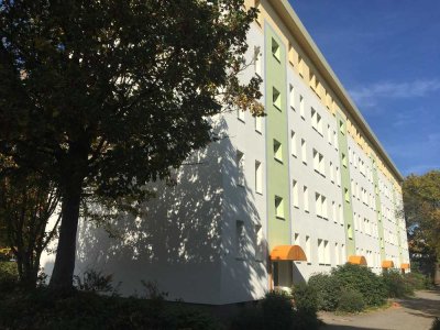 WOHNEN BEI UNS + MITTWEIDA [3.Etage] - bezugsfertig renoviert