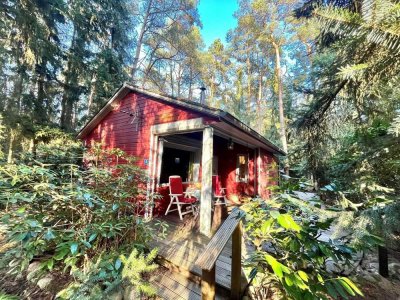Genießen Sie die Ruhe der Natur! Süßes Ferienhaus in Ahausen
