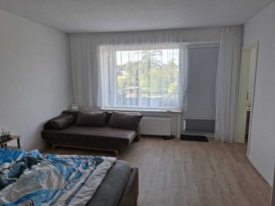 Schönes, helles und saniertes Apartment in Stadtnaher Lage