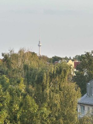 Neues Penthouse mit 3 Zimmern und Dachterrasse in Berlin-Niederschönhausen