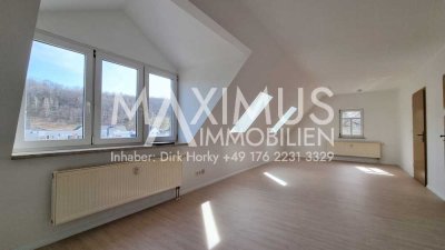 Frisch renovierte 3 Raum-Wohnung mit EBK und Stellplatz in Chemnitz - Harthau