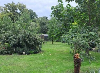 Erstbezug nach Sanierung : Kleines EFH auf 2500m² Grundstück