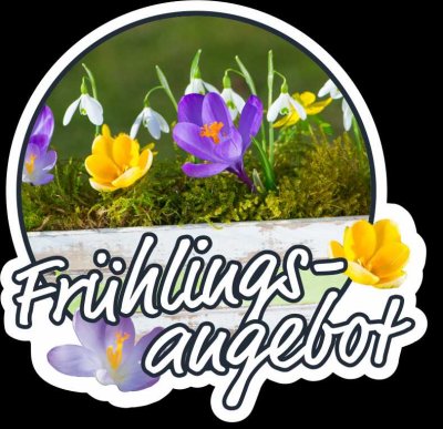 *Frühlingsangebot* Wohnung bis 01.06 zu Aktionspreis mieten & nur 2 Nettokaltmieten Kaution