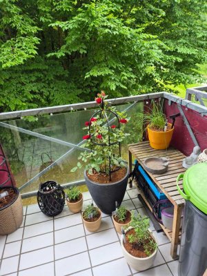 Gemütliche 1-Zimmer-Wohnung mit Balkon – ideal für Studierende