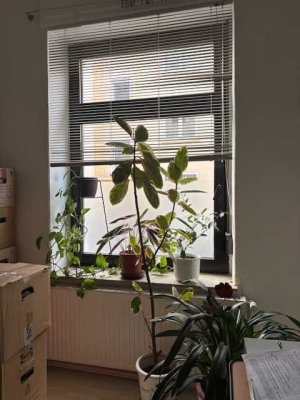 Charmante Altbauwohnung mit viel potential in Kreuzviertel