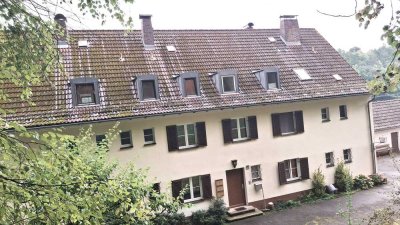 Wunderschöne, gepflegte Dachgeschosswohnung in Trausnitz - Frei!