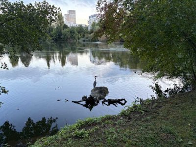 3 Zi.-Wohnung mit 2 Balkonen am Probstsee, barrierefrei erreichbar