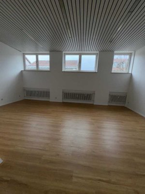Geräumige Wohnung  / Praxis / Büro