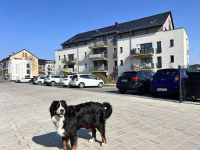 Hundefreundliche Eigentumswohnung mit Dachterrasse (H3, 23WE, WE18)