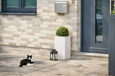 Hochmodernes, möbliertes Niedrigenergie-Reihenhaus mit sehr umfangreicher technischer Ausstattung