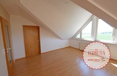 Gemütliche 2 Zimmerwohnung in Wiesloch-Baiertal (Abstellkammer, 2 KFZ-Stellplätze)