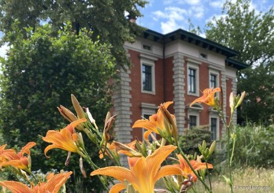 Wohnen und Arbeiten in historischer Denkmal Villa in Radebeul