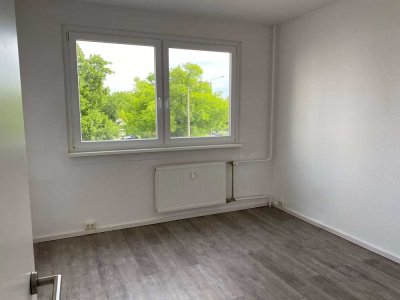 * gemütlich 3 Zimmerwohnung mit Balkon und offener Küche*