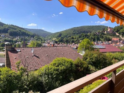 Traumblick ins Neckartal - Einfamilienhaus in Hirschhorn