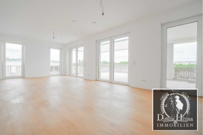 Rheinblick in Ludwigshafen Süd mit riesiger Terrasse + 2 Tiefgaragenstellplätze