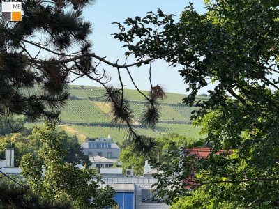 * Top sanierte Wohnung mit Park und Weinbergblick *