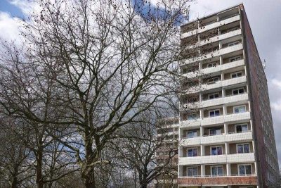 Singlewohnung mit Blick auf die Sachsendorfer Wiesen