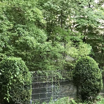 Blick auf den Auermühlbach/AU. Nh. Tauben-/Falkenstr.98qm Maisonette-Whg./sep.Küche/Gartenterasse