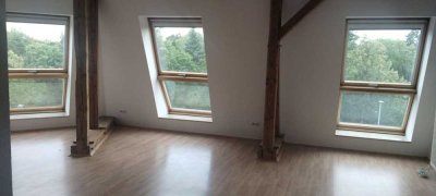3-Raum-Dachgeschosswohnung in Magdeburg, Balkon, mit Blick ins Grüne