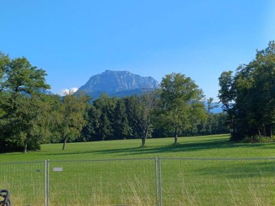 Provisionsfreies Neubauwohnung C04 mit 75m² ETW mit 9m² Loggia im OG mit herrlichem Traunsteinblick und Blick ins Grüne in Holzhäusel!