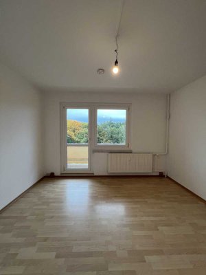 Charmante 3-Zimmerwohnung mit EBK und Balkon