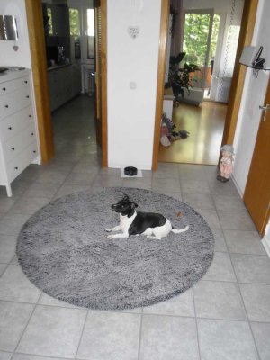 3 Zimmer Wohnung mit Balkon in ruhiger Wohnlage