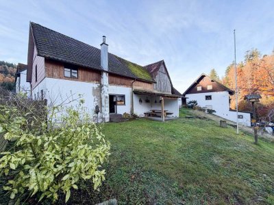 Natur, Ruhe und Raum für Ideen - Ensemble aus Ferienwohnung, Scheuer, Stall und Wiese