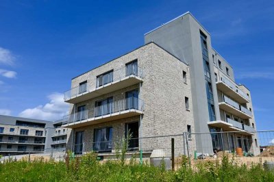 [WE 2.04  •  EG  •  Typ 4] gemütliche 2 Zimmer-Wohnung mit Süd-Terrasse