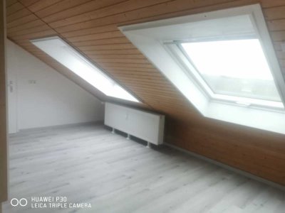 DG Appartement 100qm Wohnfläche, 65qm Nutzfl.,1 Zi. offen,klimatisiert,EBK,Kellerraum