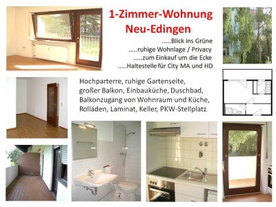 1-Zimmer Wohnung mit Balkon in Edingen-Neckarhausen