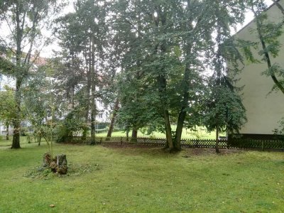 Die Ein-Zimmerwohnung