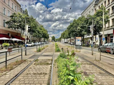 ++ 40er KfW- über den Dächern der Südvorstadt mit großem Dachgarten - mit Förderung zum Eigentum ++