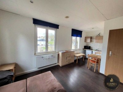 möbliertes 1-Zimmer Apartment in ZWICKAU Oberhohndorf