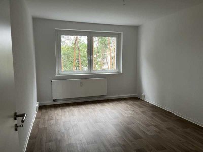 Neu sanierte Familienwohnung