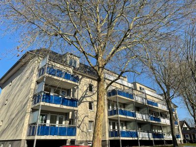 Sanierte 5-Zimmer-Wohnung im Villenviertel mit Blick auf die Godesburg