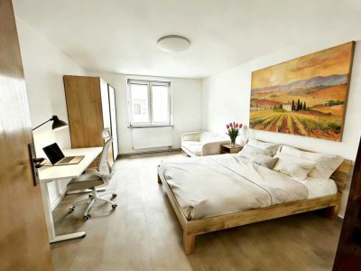 NEU renovierte und voll möblierte 1-Zimmer Wohnung nähe(2-min.) Stadtpark (Nürnberg Nord)