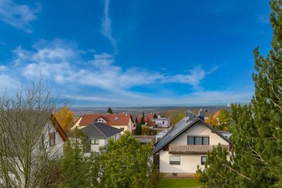 Sehr geräumige 4,5-Zimmer-Wohnung mit traumhaftem Fern- und Skylineblick in Hörstein!