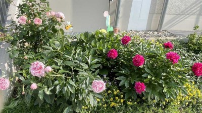 Schönes 5-Zimmer-Reihenhaus mit Einbauküche und großem Garten