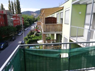 2 ZIMMER-Wohnung, sonniger West-Balkon, extra Wohnküche möbliert, Bad mit Wanne, extra WC, Lift, TG!