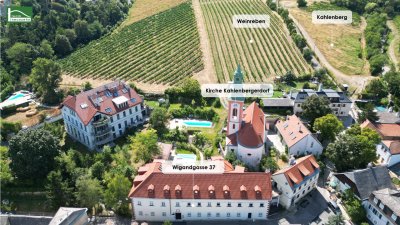 Entspannen und Geniessen – sanierte Wohnung in Traumlage zwischen Donau und Weinbergen